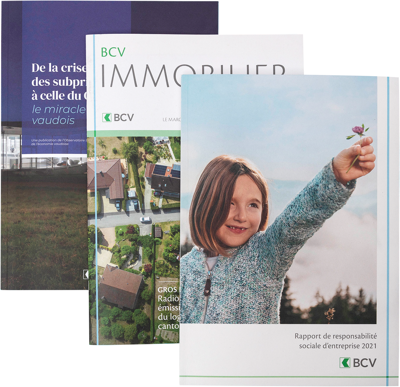 BCV graphisme étude immobilier et rapport social d'entreprise