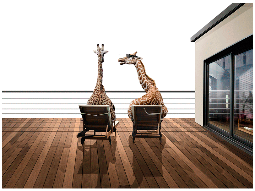 Cogestim concept graphisme animation girafes